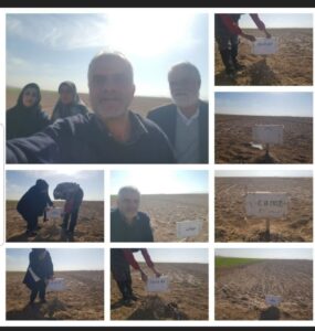 کشت ۶رقم جو در مشهد جهت مقایسه ویژگی های ارقام