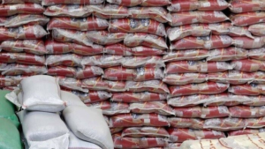 آغاز توزیع برنج و گوشت با قیمت تنظیم بازار در مشهد